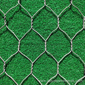 pvc coated/Galvanized Hexagonal Chicken Wire Mesh